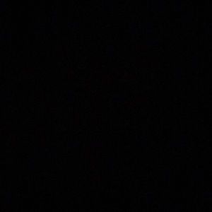 Meet your Posher, Judy